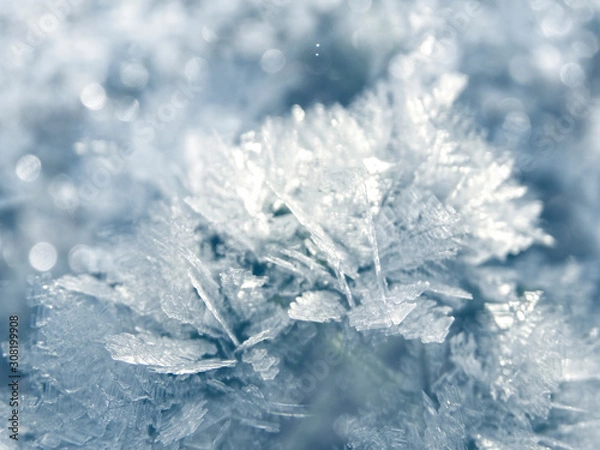 Fototapeta winter background with snowflakes crystals patterns and snow on frozen grass