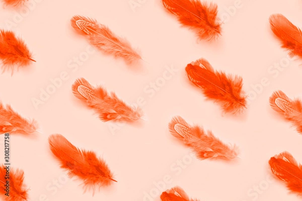 Fototapeta fluffy feathers pattern toned lush lava orange color