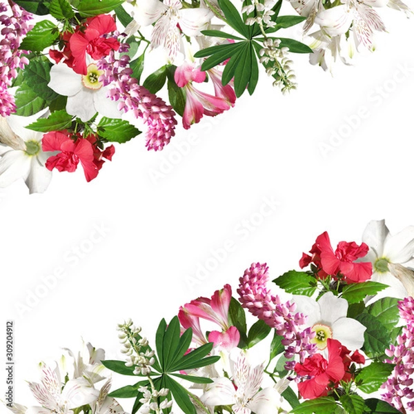 Fototapeta Beautiful floral background of Alstroemeria, Narcissus, Chinese rose and Lupin. Isolated