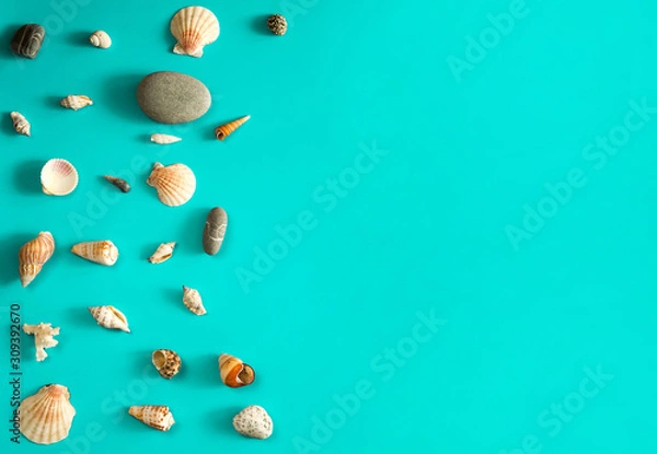 Fototapeta Travel and vacation concept. The border is made of shells, sea pebbles and coral twigs on a light blue background. Free space for your text.