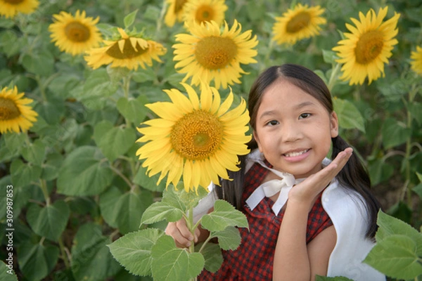 Fototapeta Happy cute asian girl smile with sunflower,