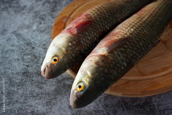 Fototapeta Fresh fish mullet on cutting Board on dark background