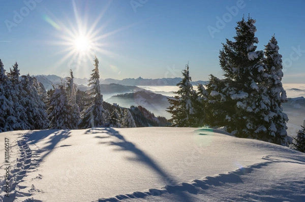 Fototapeta Beichlen im Winter