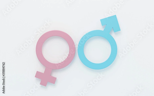 Obraz Gender symbols. Abstract Male and Female 3d sign icon, Man and Woman blue & pink pastel icon on white background for graphic and web design & minimal love idea or creative concept. 3d illustration