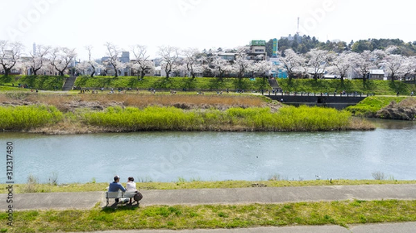 Fototapeta 福井 観光 風景