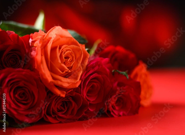 Obraz Congratulation on Valentine's Day, roses, flowers, romance. Red background, space for an inscription.