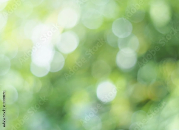 Fototapeta Natural bokeh. Green light bokeh nature background. Abstract blurred background. 