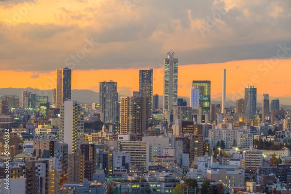 Fototapeta Top view of Tokyo city skyline at sunset .