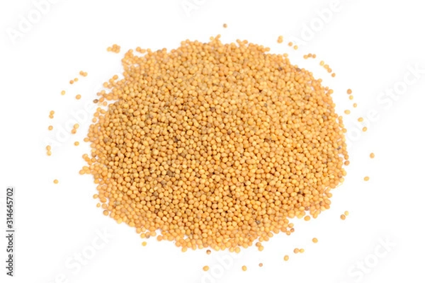 Fototapeta Mustard Seeds Isolated on White Background