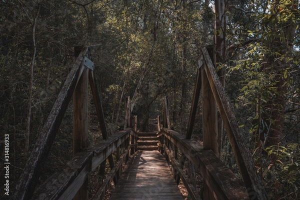 Fototapeta A wooden bridge on the short walk around the valley at Ellenborough Falls, New South Wales.