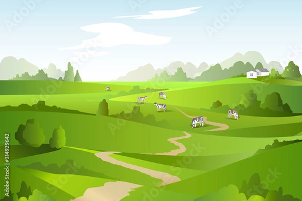 Fototapeta Abstract landscape with green fields, trees, lane and cows. Vector Illustration.