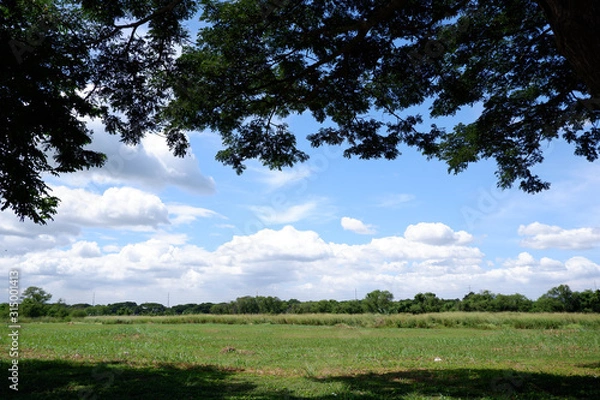 Fototapeta równiny Laguna na Filipinach