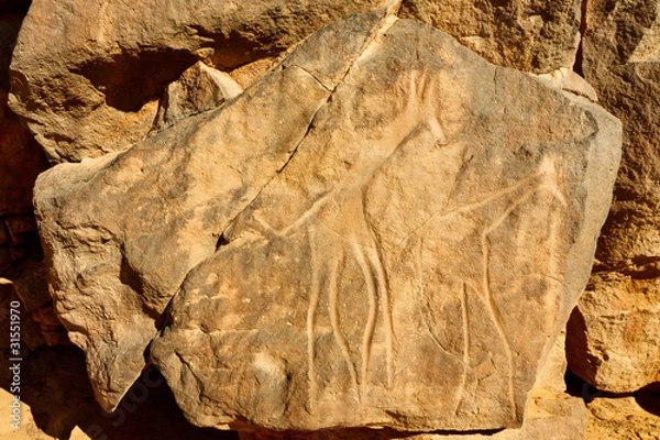 Fototapeta Giraffes Rock Engravings - Wadi Mathendous - UNESCO World Herita