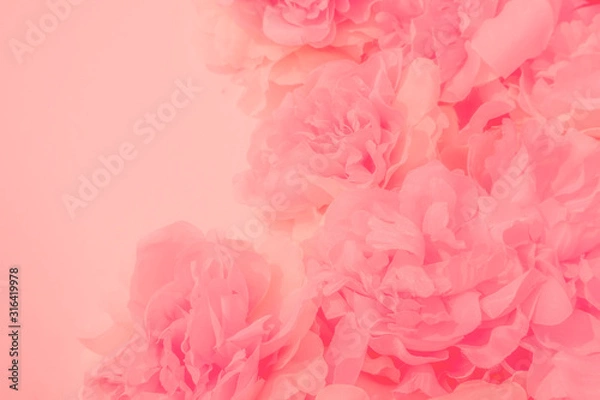 Fototapeta Beautiful abstract color white and pink flowers on white background and white flower frame and orange leaves background texture, flowers banner, pink background, colorful pink banner happy valentine