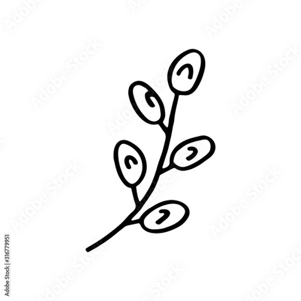 Fototapeta Willow branch with fluffy balls vector doodle hand drawn cute illustration, sticker. Natural element. Plants, herbs. Easy to  change color. Isolated on white background. Easter symbol, design element.