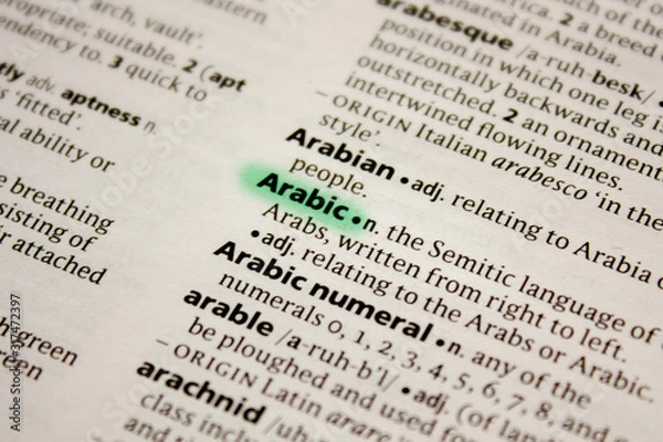 Fototapeta Arabic word or phrase in a dictionary.