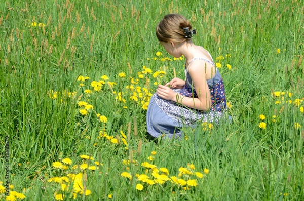 Fototapeta Blumenwiese