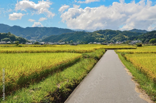 Fototapeta 奈良県の明日香村