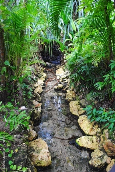 Fototapeta Medium close up of a gently flowing brook in the middle of a landscaped garden