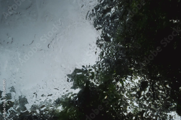 Fototapeta rain drops in a puddle with trees reflection.