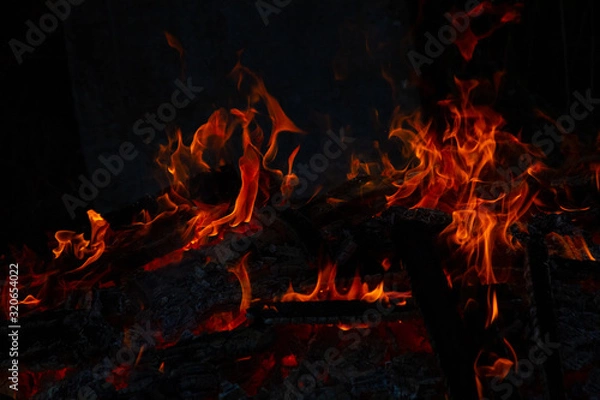 Fototapeta Bonfire outdoors in the evening