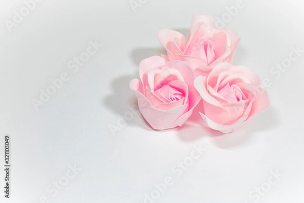 Fototapeta Three pink roses on a white background. Wedding.Background