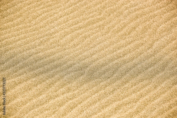 Fototapeta Close-Up Of Sand Background Texture.