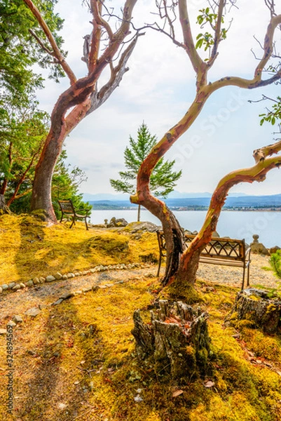 Fototapeta A bench with gorgeous view at mountain lake, British Columbia, Canada.