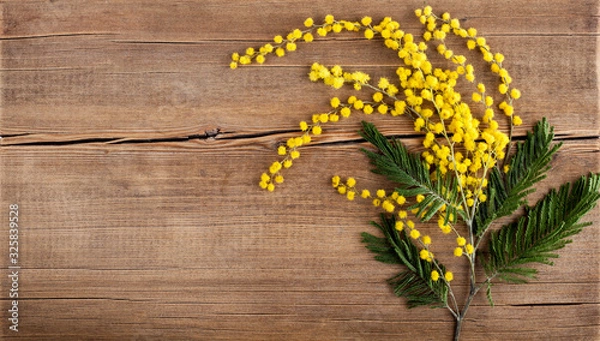 Fototapeta Beautiful spring yellow mimosa flowers with space for text on bright wooden background. Greeting card with bouquet. Spring beginning concept. Top view, flat lay