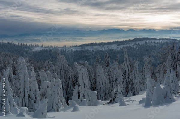 Fototapeta Winter in mountain