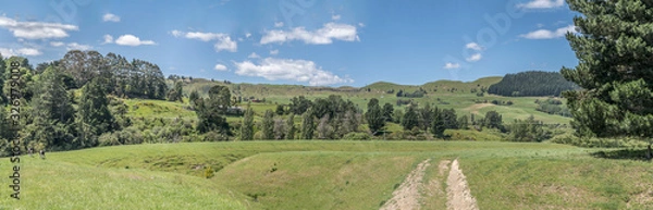 Fototapeta green mild slopes in hilly countryside,  near Te Pohue,  Hawkes Bay, New Zealand