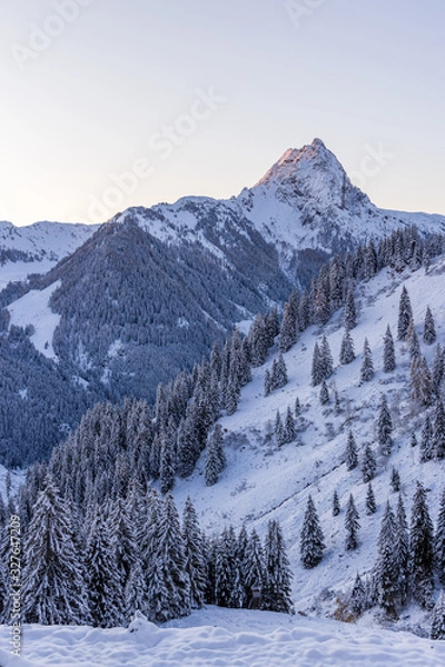 Fototapeta Winter in the Austrian Alps, View of Grosser Rettenstein Mountain in the morning light of a winterday