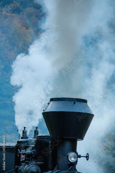 Fototapeta Mocanita train, Viseu de Sus - Maramures, Romania, Europe