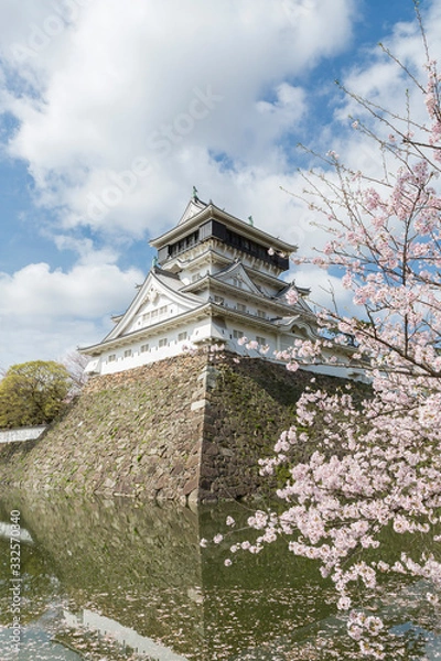 Fototapeta 小倉城天守閣と桜