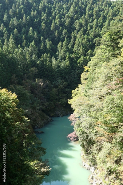 Fototapeta Okutama Mukashi Michi Hike - Japan