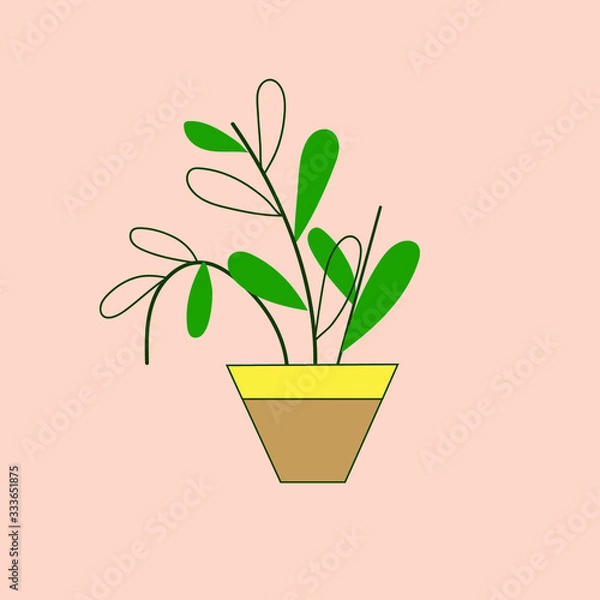 Obraz green plant in a pot