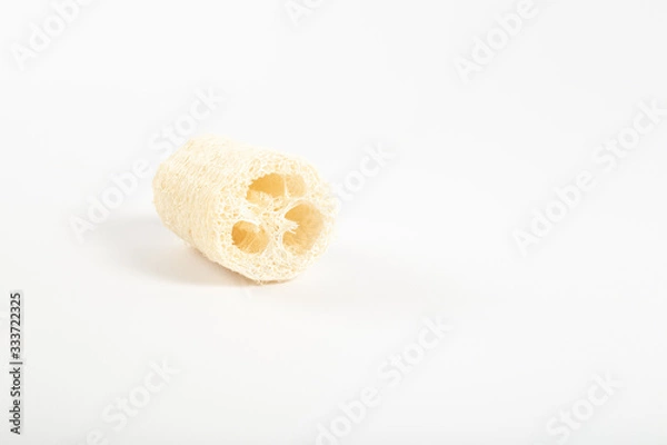 Obraz Natural environmental loofah lies on a white background core turned towards us.