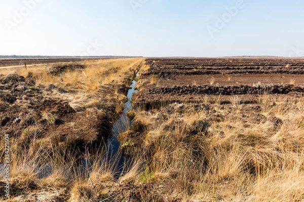 Fototapeta Moorlandschaft in Uchte, Norddeutschland