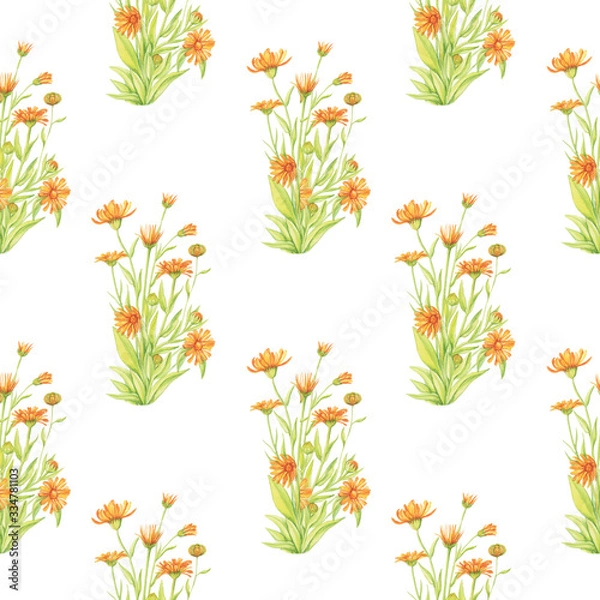 Fototapeta calendula pattern