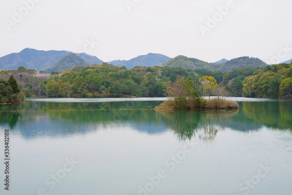 Fototapeta 春のため池(香川県高松市)