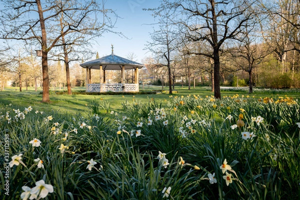 Fototapeta Impressionen Schlosspark Bad Mergentheim im Frühling