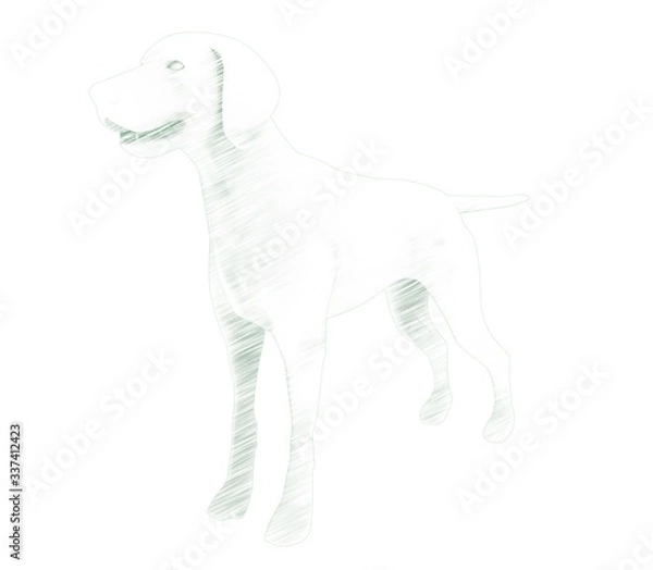 Obraz 3d illustration of the dog