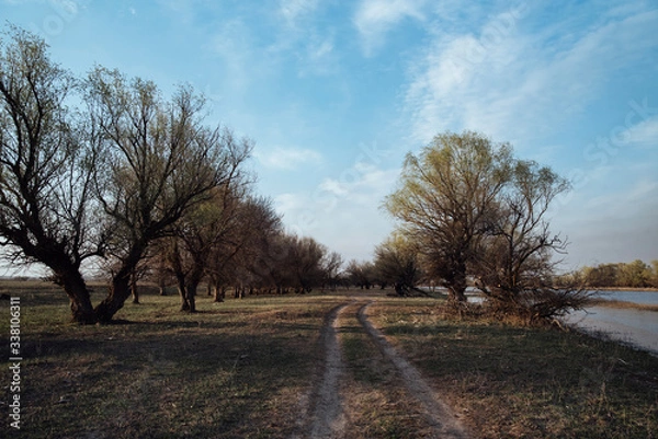 Fototapeta the dirt road goes off into the distance on a green field.