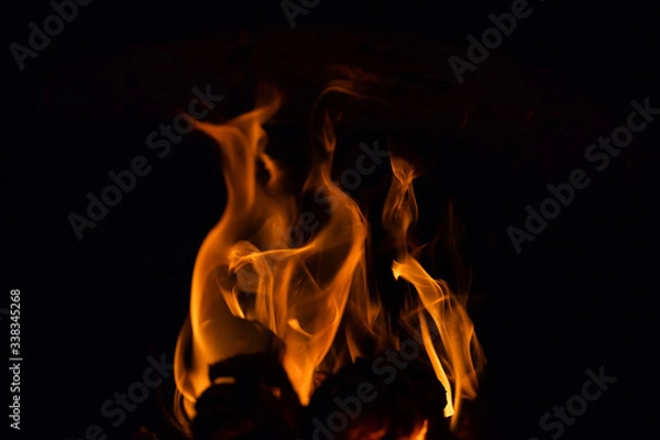 Fototapeta Burning wood in the furnace. Fiery tongues of flames