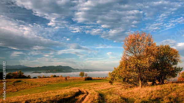 Fototapeta Pieniny, przełęcz Snozka