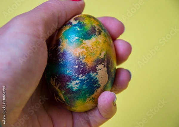 Obraz Human hand holding single colorful egg, body part, fingers, one multicolored egg, Easter tradition, celebration concept