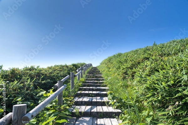 Obraz 積丹岬から望む青い海 / 北海道積丹町の風景