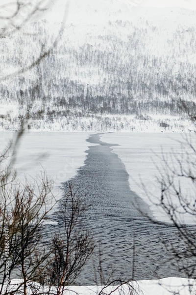 Fototapeta Mar congelado en invierno