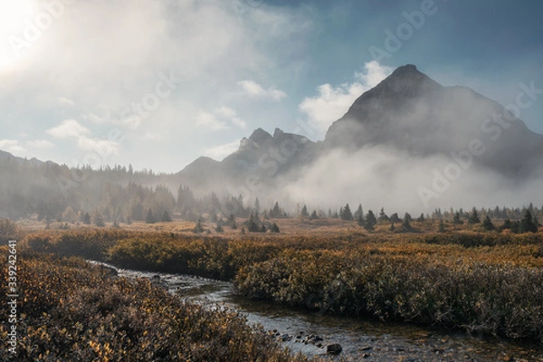 Obraz Rocky mountains in misty on autumn forest in the morning at Assiniboine provincial park