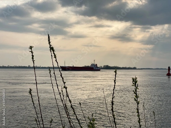 Fototapeta Schiff auf der Elbe in der Nähe von Blankenese